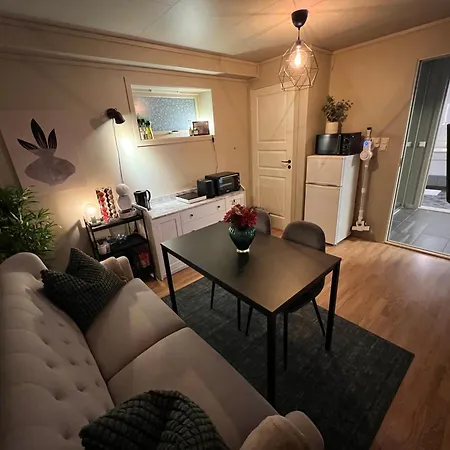 Bratsberg Apartment - With Kitchenette And Free Parking Trondheim Exterior photo